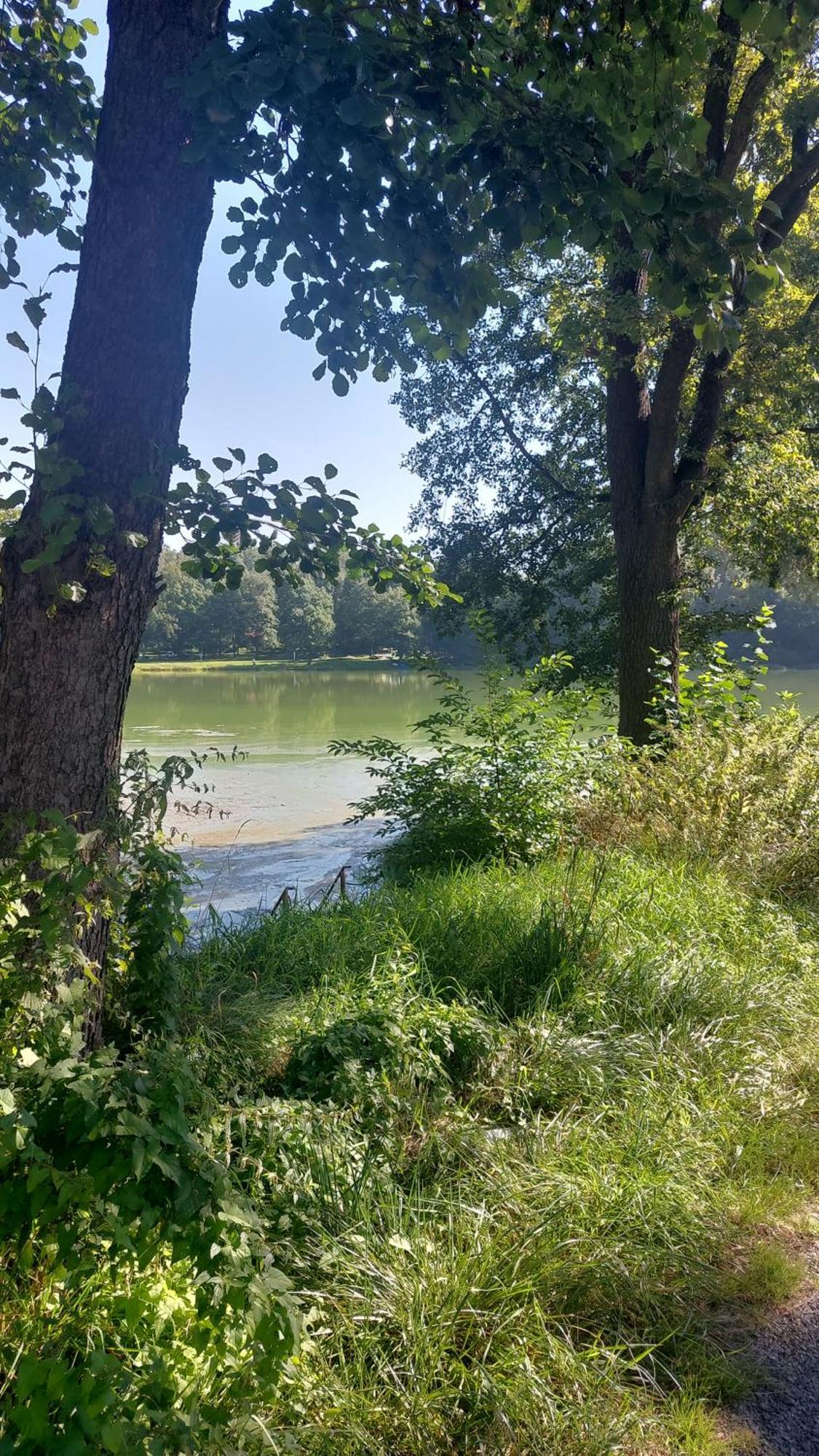 Domki Nad Jeziorem Karlowice Buitenkant foto